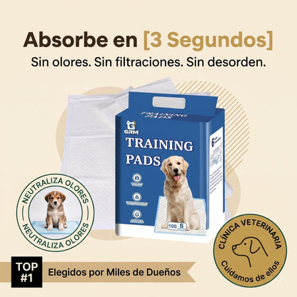 Presentación en caja de los paños ultra absorbentes Argos 60x60